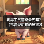 狗得了气管炎会死吗？（气管炎对狗的危害及治疗方法）（图3）