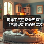 狗得了气管炎会死吗？（气管炎对狗的危害及治疗方法）（图4）