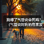 狗得了气管炎会死吗？（气管炎对狗的危害及治疗方法）（图1）
