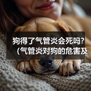 狗得了气管炎会死吗？（气管炎对狗的危害及治疗方法）（图2）