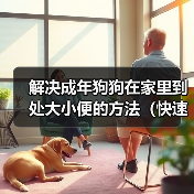 解决成年狗狗在家里到处大小便的方法(快速有效训练狗狗定点排便)(图1) 解决成年狗狗在家里到处大小便的方法(快速有效训练狗狗定点排便)(图1)