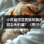 小区监控是否能帮助找回丢失的猫?(探讨小区监控系统在寻找丢失宠物方面的作用与局限性)(图4) 小区监控是否能帮助找回丢失的猫?(探讨小区监控系统在寻找丢失宠物方面的作用与局限性)(图4)