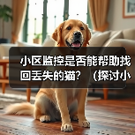 小区监控是否能帮助找回丢失的猫?(探讨小区监控系统在寻找丢失宠物方面的作用与局限性)(图1) 小区监控是否能帮助找回丢失的猫?(探讨小区监控系统在寻找丢失宠物方面的作用与局限性)(图1)