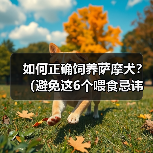 如何正确饲养萨摩犬？（避免这6个喂食忌讳，让你的萨摩犬健康快乐）（图1）