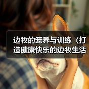 边牧的笼养与训练(打造健康快乐的边牧生活)(图3) 边牧的笼养与训练(打造健康快乐的边牧生活)(图3)