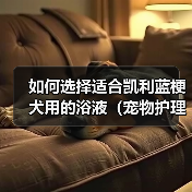 如何选择适合凯利蓝梗犬用的浴液(宠物护理必备,为你的凯利蓝梗犬提供最好的沐浴体验)(图4) 如何选择适合凯利蓝梗犬用的浴液(宠物护理必备,为你的凯利蓝梗犬提供最好的沐浴体验)(图4)