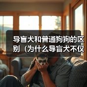 导盲犬和普通狗狗的区别(为什么导盲犬不仅是普通的宠物?)(图4) 导盲犬和普通狗狗的区别(为什么导盲犬不仅是普通的宠物?)(图4)