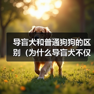 导盲犬和普通狗狗的区别(为什么导盲犬不仅是普通的宠物?)(图3) 导盲犬和普通狗狗的区别(为什么导盲犬不仅是普通的宠物?)(图3)