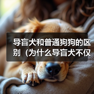 导盲犬和普通狗狗的区别(为什么导盲犬不仅是普通的宠物?)(图1) 导盲犬和普通狗狗的区别(为什么导盲犬不仅是普通的宠物?)(图1)