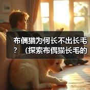 布偶猫为何长不出长毛?(探索布偶猫长毛的原因和特点)(图3) 布偶猫为何长不出长毛?(探索布偶猫长毛的原因和特点)(图3)