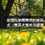 如何科学喂养你的贵宾犬(贵宾犬营养与健康、专业养犬知识解析)(图3) 如何科学喂养你的贵宾犬(贵宾犬营养与健康、专业养犬知识解析)(图3)