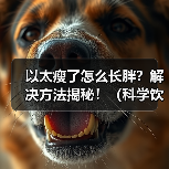 以太瘦了怎么长胖?解决方法揭秘!(科学饮食和锻炼帮你重塑完美身材)(图1) 以太瘦了怎么长胖?解决方法揭秘!(科学饮食和锻炼帮你重塑完美身材)(图1)