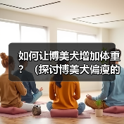 如何让博美犬增加体重?(探讨博美犬偏瘦的原因以及增肥的有效方法)(图3) 如何让博美犬增加体重?(探讨博美犬偏瘦的原因以及增肥的有效方法)(图3)