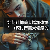 如何让博美犬增加体重?(探讨博美犬偏瘦的原因以及增肥的有效方法)(图2) 如何让博美犬增加体重?(探讨博美犬偏瘦的原因以及增肥的有效方法)(图2)