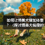 如何让博美犬增加体重?(探讨博美犬偏瘦的原因以及增肥的有效方法)(图1) 如何让博美犬增加体重?(探讨博美犬偏瘦的原因以及增肥的有效方法)(图1)