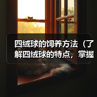 四绒球的饲养方法（了解四绒球的特点，掌握科学的饲养方式）（图1）