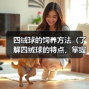 四绒球的饲养方法（了解四绒球的特点，掌握科学的饲养方式）（图4）