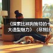 《探索比熊狗独特的十大造型魅力》(尽揽比熊萌态,一览十款独具特色的造型艺术品)(图3) 《探索比熊狗独特的十大造型魅力》(尽揽比熊萌态,一览十款独具特色的造型艺术品)(图3)
