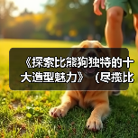《探索比熊狗独特的十大造型魅力》(尽揽比熊萌态,一览十款独具特色的造型艺术品)(图1) 《探索比熊狗独特的十大造型魅力》(尽揽比熊萌态,一览十款独具特色的造型艺术品)(图1)