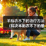 羊胎衣不下的治疗方法(解决羊胎衣不下的最简单方法及注意事项)(图3) 羊胎衣不下的治疗方法(解决羊胎衣不下的最简单方法及注意事项)(图3)