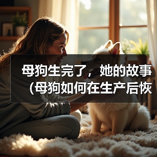 母狗生完了，她的故事（母狗如何在生产后恢复健康和幸福生活）（图2）