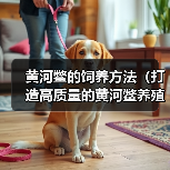 黄河鳖的饲养方法(打造高质量的黄河鳖养殖之路)(图4) 黄河鳖的饲养方法(打造高质量的黄河鳖养殖之路)(图4)