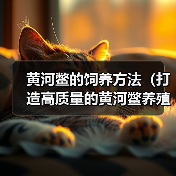 黄河鳖的饲养方法(打造高质量的黄河鳖养殖之路)(图2) 黄河鳖的饲养方法(打造高质量的黄河鳖养殖之路)(图2)