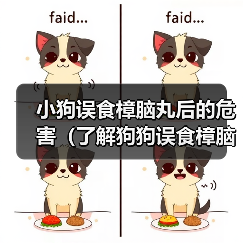 小狗误食樟脑丸后的危害(了解狗狗误食樟脑丸后的风险和应对措施)(图2) 小狗误食樟脑丸后的危害(了解狗狗误食樟脑丸后的风险和应对措施)(图2)