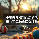 小狗误食樟脑丸后的危害(了解狗狗误食樟脑丸后的风险和应对措施)(图4) 小狗误食樟脑丸后的危害(了解狗狗误食樟脑丸后的风险和应对措施)(图4)