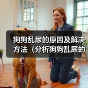 狗狗乱尿的原因及解决方法(分析狗狗乱尿的几个原因,并提供相关解决方法)(图2) 狗狗乱尿的原因及解决方法(分析狗狗乱尿的几个原因,并提供相关解决方法)(图2)