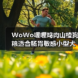 WoWo喔喔鸡肉山楂狗粮适合肠胃敏感小型犬吗?(图1) WoWo喔喔鸡肉山楂狗粮适合肠胃敏感小型犬吗?(图1)