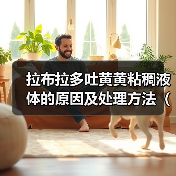 拉布拉多吐黄黄粘稠液体的原因及处理方法（拉布拉多吐黄黄粘稠液体可能是消化系统问题，需要及时诊治）（图2）