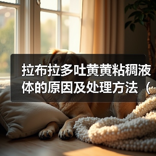 拉布拉多吐黄黄粘稠液体的原因及处理方法（拉布拉多吐黄黄粘稠液体可能是消化系统问题，需要及时诊治）（图4）