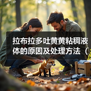 拉布拉多吐黄黄粘稠液体的原因及处理方法（拉布拉多吐黄黄粘稠液体可能是消化系统问题，需要及时诊治）（图3）