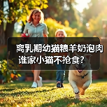 离乳期幼猫粮羊奶泡肉谁家小猫不抢食？（图2）