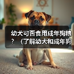 幼犬可否食用成年狗粮?(了解幼犬和成年狗粮的区别及选择)(图2) 幼犬可否食用成年狗粮?(了解幼犬和成年狗粮的区别及选择)(图2)