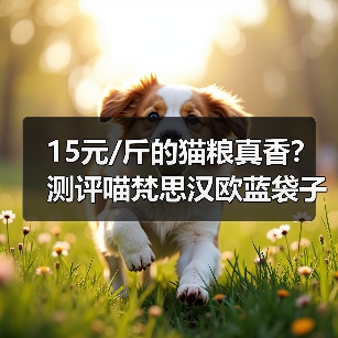 15元/斤的猫粮真香？测评喵梵思汉欧蓝袋子性价比（图2）