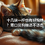 十几块一斤也有好狗粮？青口贝狗粮适不适合大型犬？