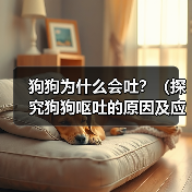 狗狗为什么会吐?(探究狗狗呕吐的原因及应对方法)(图4) 狗狗为什么会吐?(探究狗狗呕吐的原因及应对方法)(图4)