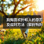狗狗喜欢扑咬人的原因及应对方法（解析狗狗扑咬行为背后的动机与如何正确引导）（图1）