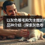 以灰色卷毛狗为主题的品种介绍(探索灰色卷毛狗的独特魅力)(图1) 以灰色卷毛狗为主题的品种介绍(探索灰色卷毛狗的独特魅力)(图1)