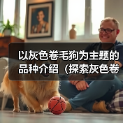 以灰色卷毛狗为主题的品种介绍(探索灰色卷毛狗的独特魅力)(图3) 以灰色卷毛狗为主题的品种介绍(探索灰色卷毛狗的独特魅力)(图3)