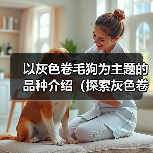 以灰色卷毛狗为主题的品种介绍(探索灰色卷毛狗的独特魅力)(图2) 以灰色卷毛狗为主题的品种介绍(探索灰色卷毛狗的独特魅力)(图2)