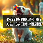 心衰狗狗的护理和治疗方法（从日常护理到医疗干预，全方位关爱你的心衰狗狗）（图2）