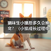 猫咪生小猫后多久会换窝？（小猫成长过程中的窝换频率）（图3）