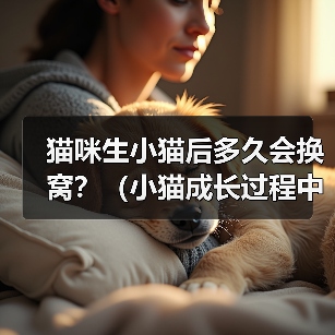猫咪生小猫后多久会换窝？（小猫成长过程中的窝换频率）（图2）