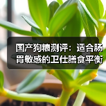 国产狗粮测评:适合肠胃敏感的卫仕膳食平衡系列如何?(图2) 国产狗粮测评:适合肠胃敏感的卫仕膳食平衡系列如何?(图2)
