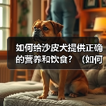 如何给沙皮犬提供正确的营养和饮食？（如何给沙皮犬提供正确的营养和饮食？）（图4）
