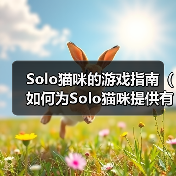 Solo猫咪的游戏指南（如何为Solo猫咪提供有趣的游戏体验）（图4）