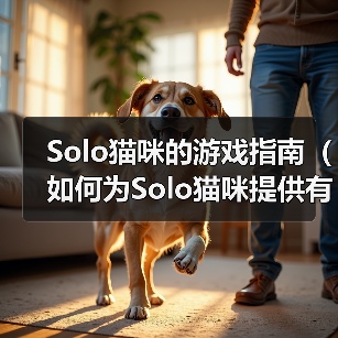 Solo猫咪的游戏指南（如何为Solo猫咪提供有趣的游戏体验）（图2）